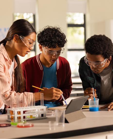 What is integrated schooling?